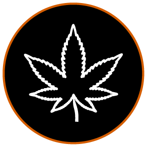 Liger_Jencap-Case-Study_icon_cannabis