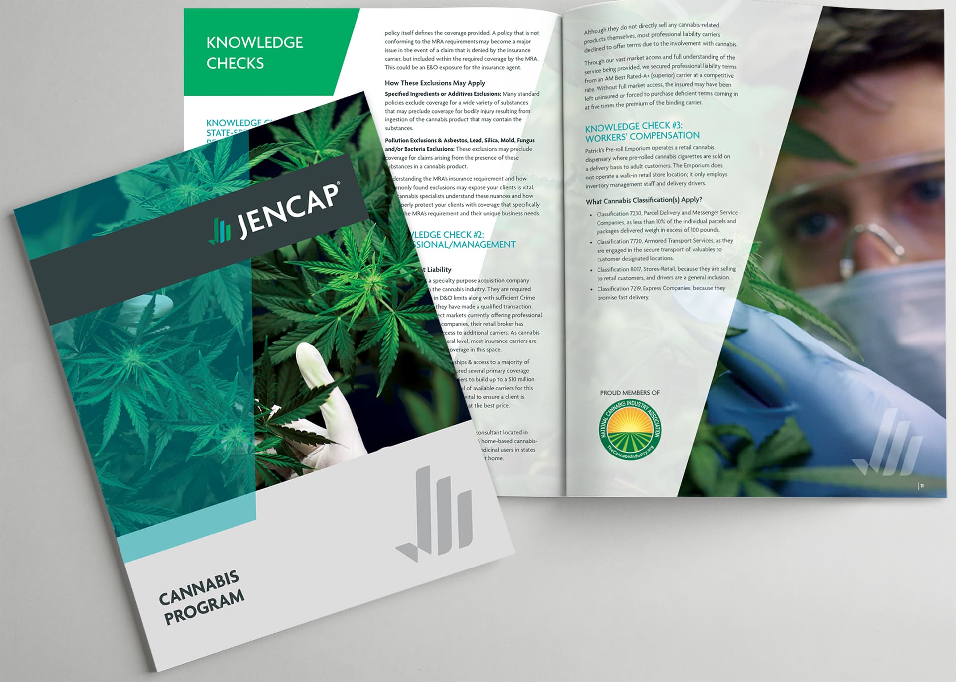 cannabis brochure